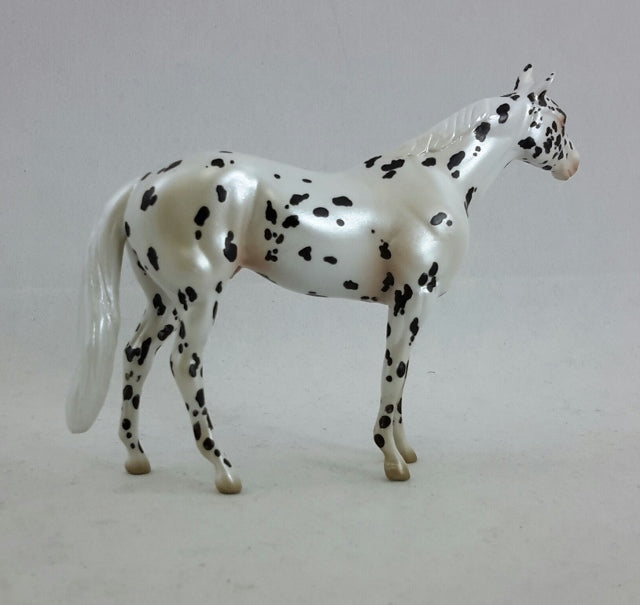 IMPOSSIBLE DREAM - OOAK Leopard Appaloosa Stock Horse Chip
