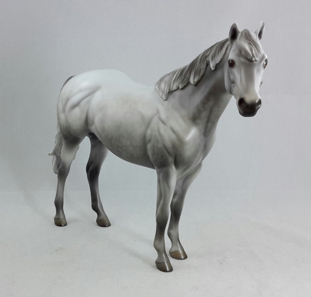 GUARDIAN ANGEL - Dapple Gray Stock Horse