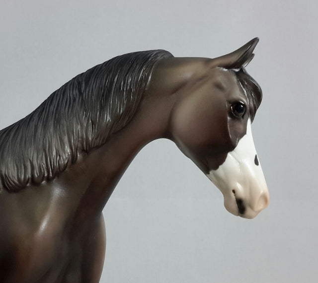 BEAM ME UP - OOAK Dapple Gray Sabino Pony with Butterfly