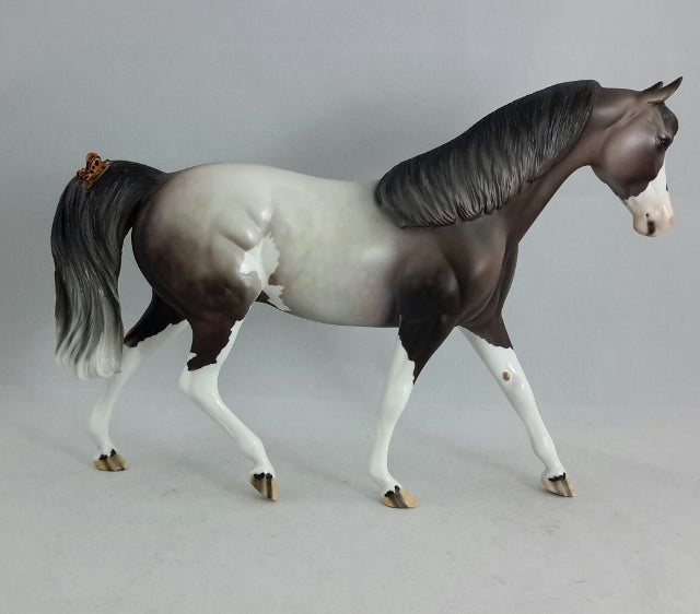 BEAM ME UP - OOAK Dapple Gray Sabino Pony with Butterfly