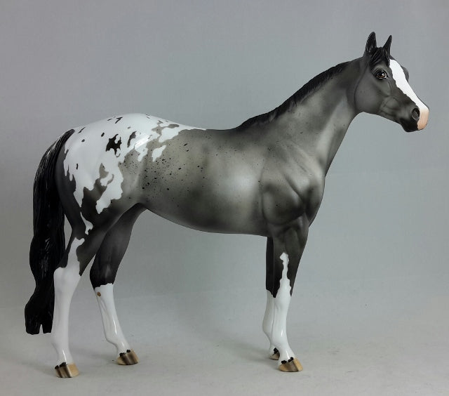 MARVEL - OOAK Gray Appaloosa