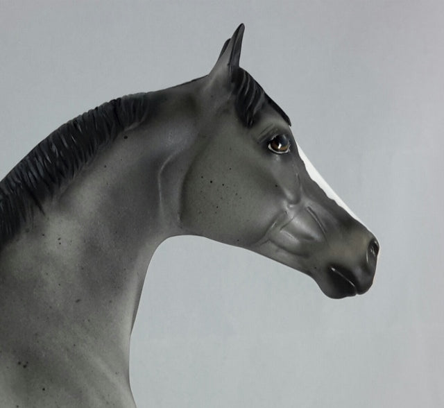 MARVEL - OOAK Gray Appaloosa