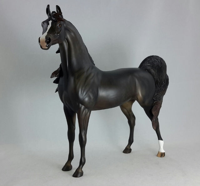 BLACK ORCHID - Sunburnt Black Arabian
