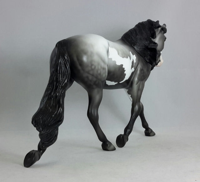 MIDNIGHT MIRAGE - Dapple Gray Palouse