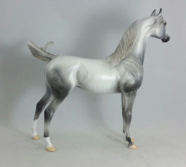 BLUE FOR YOU - OOAK Fleabit Arabian