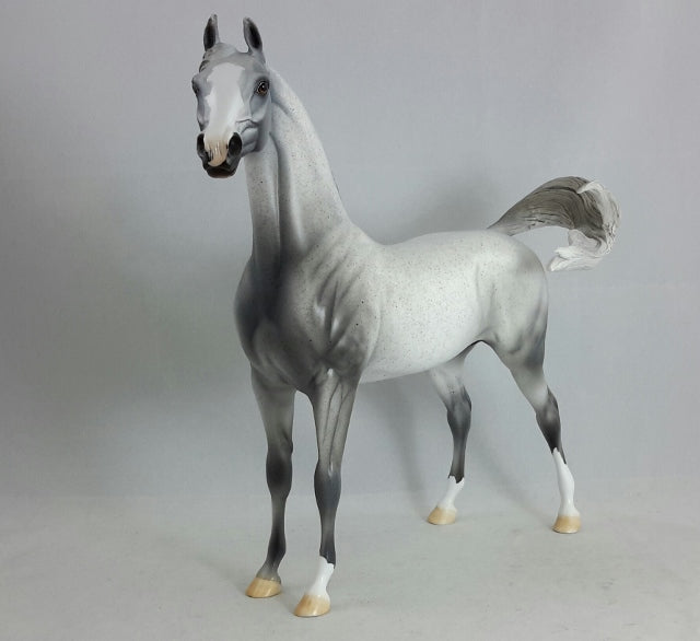 BLUE FOR YOU - OOAK Fleabit Arabian