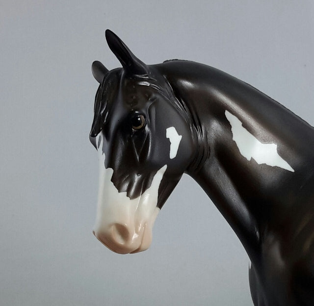 MR. BELIEVE IT OR NOT - Black and White Pinto Tennessee Walker Model Horse