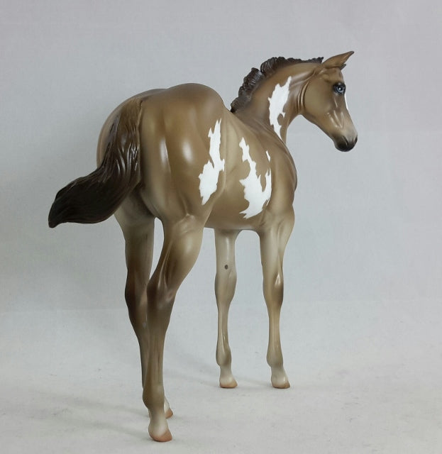 EYELET - Chestnut Overo Weanling