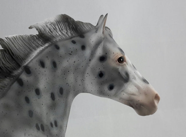 PHANTOM RIDER #3 - Extreme Leopard Appaloosa