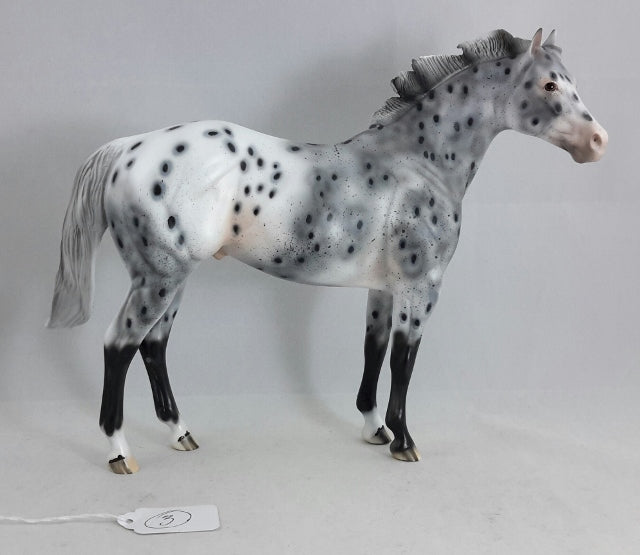 PHANTOM RIDER #3 - Extreme Leopard Appaloosa