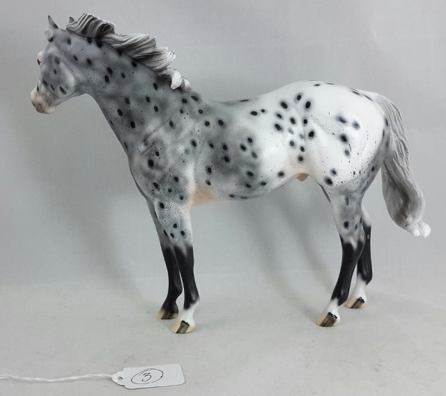 PHANTOM RIDER #3 - Extreme Leopard Appaloosa