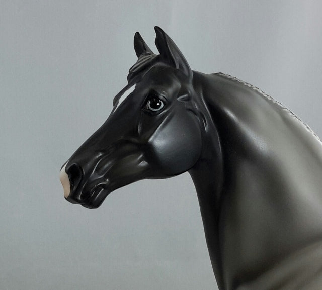 Conquering Tide - NEPTUNE