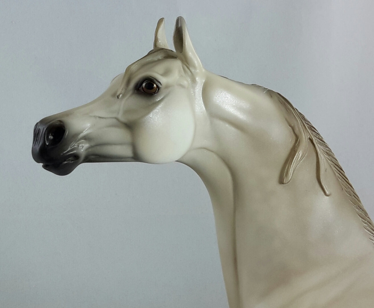 SHAMELESS - OOAK Light Dapple Gray Arabian