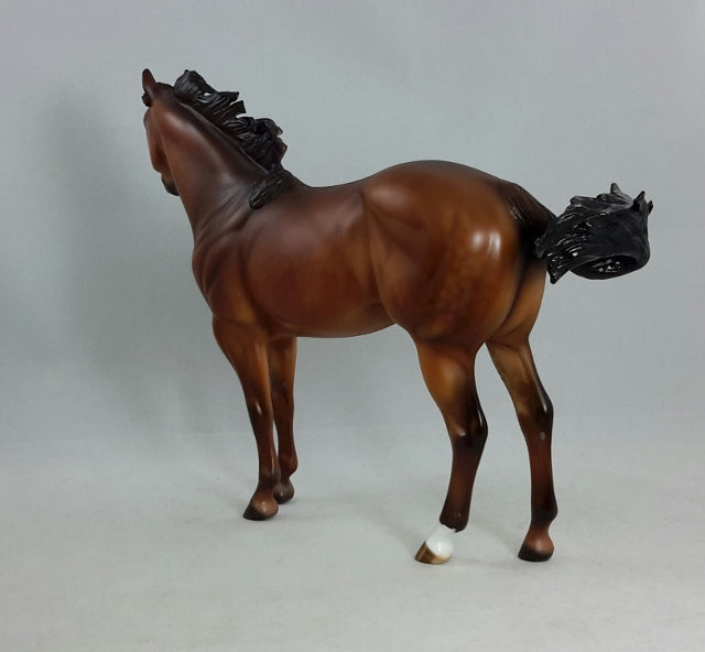 WILD BOY - OOAK Bay Dapple Stock Horse