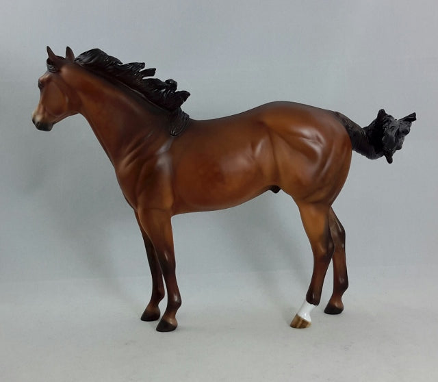 WILD BOY - OOAK Bay Dapple Stock Horse