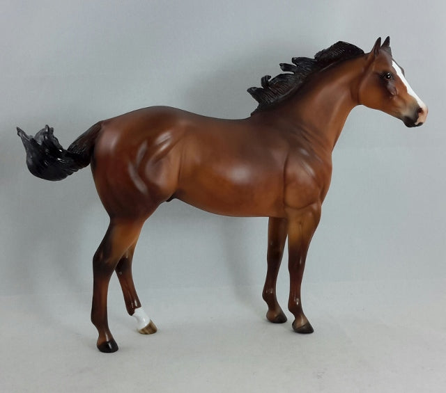 WILD BOY - OOAK Bay Dapple Stock Horse