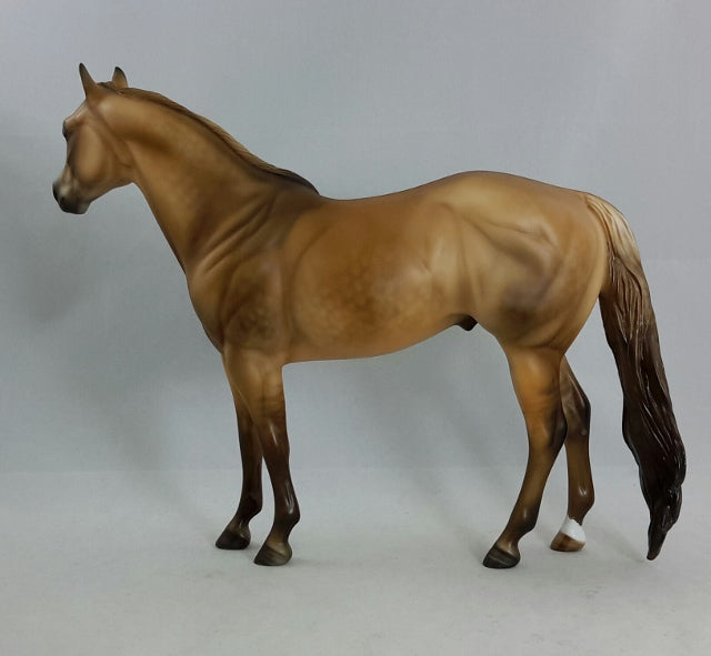 BOARDWALK EMPIRE - Dappled Dun Stock Horse