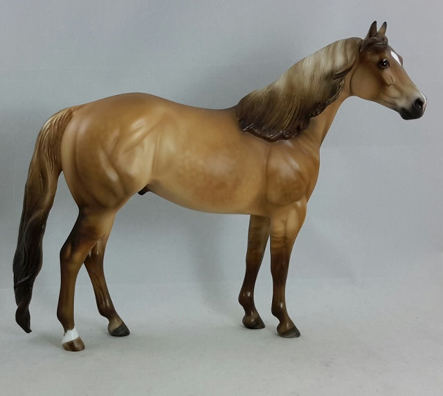 BOARDWALK EMPIRE - Dappled Dun Stock Horse