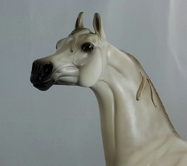 SHAMELESS - OOAK Light Dapple Gray Arabian