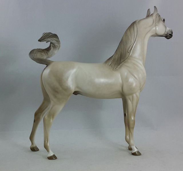 SHAMELESS - OOAK Light Dapple Gray Arabian