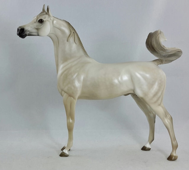 SHAMELESS - OOAK Light Dapple Gray Arabian