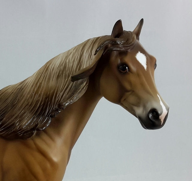 BOARDWALK EMPIRE - Dappled Dun Stock Horse