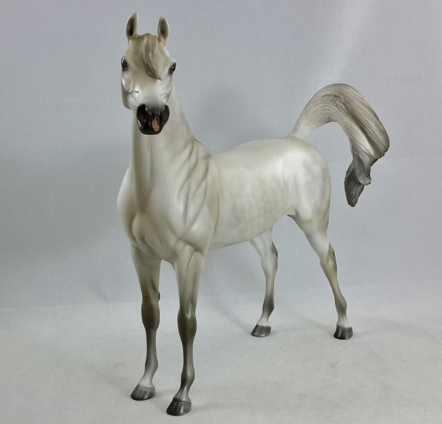 ENLIGHTENED - OOAK Dapple Gray Arabian