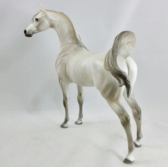 ENLIGHTENED - OOAK Dapple Gray Arabian