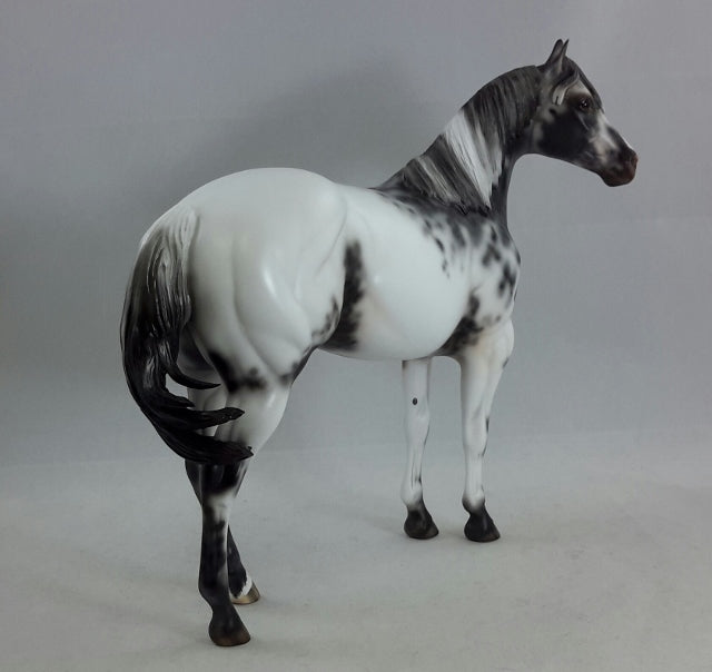 DANCING WITH THE STARS - OOAK Appaloosa Stock Horse