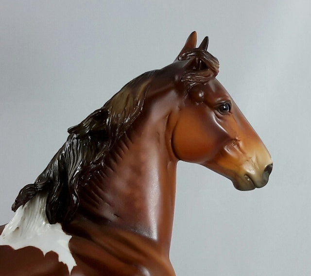 GENERATION KILL - OOAK Chestnut Tobiano Trotting Drafter