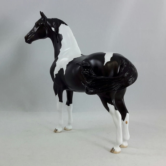 THE CHEW - Black & White Pinto Morgan Model Horse