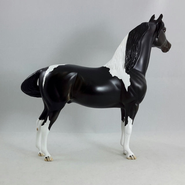 THE CHEW - Black & White Pinto Morgan Model Horse