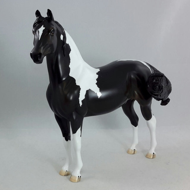 THE CHEW - Black & White Pinto Morgan Model Horse