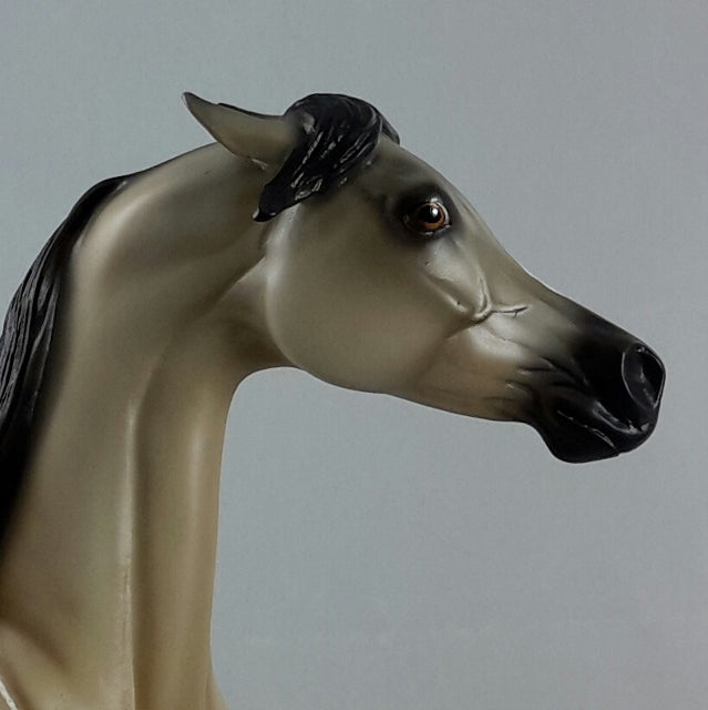 CLEAR - Gray Arabian
