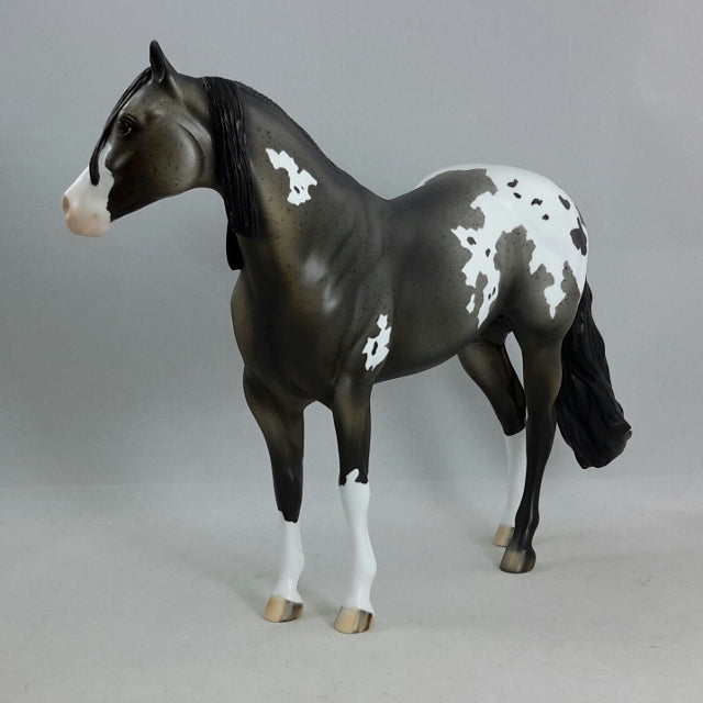 Z NATION - Gray Appaloosa Stock Horse