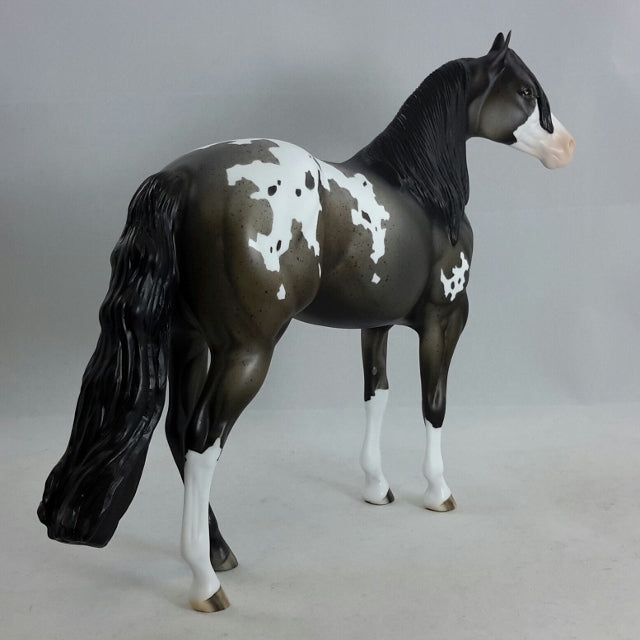 Z NATION - Gray Appaloosa Stock Horse