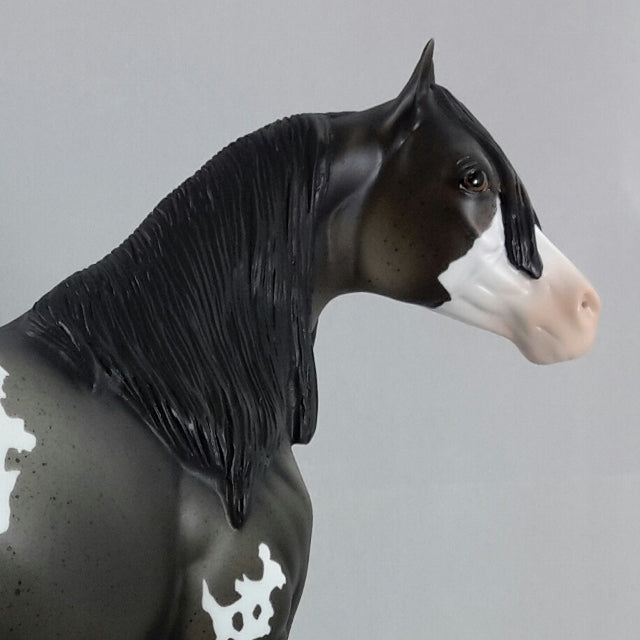 Z NATION - Gray Appaloosa Stock Horse