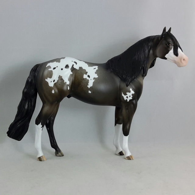 Z NATION - Gray Appaloosa Stock Horse
