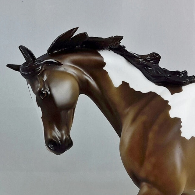 OUTLANDER - Sooty Buckskin Thoroughbred Pinto