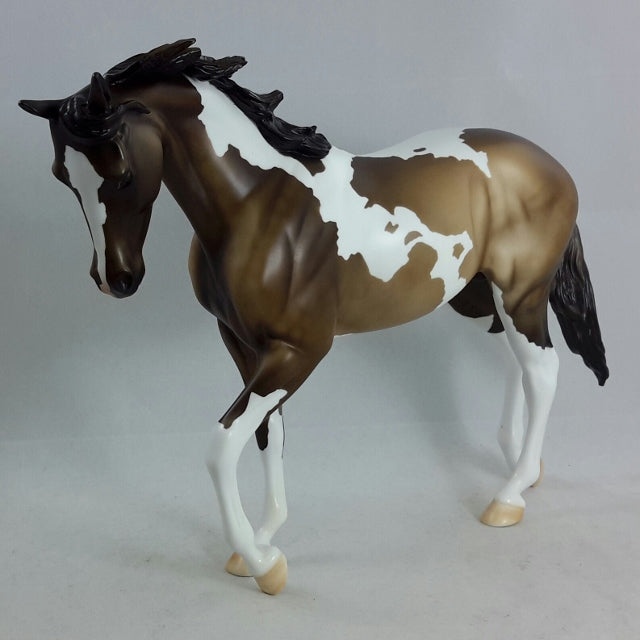 OUTLANDER - Sooty Buckskin Thoroughbred Pinto