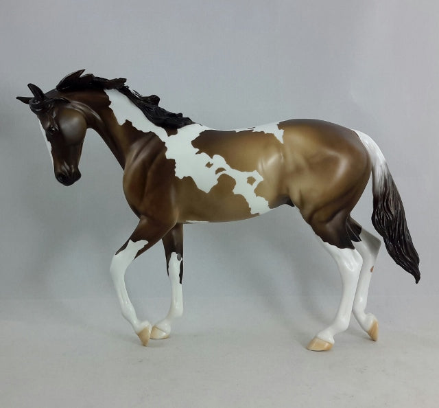OUTLANDER - Sooty Buckskin Thoroughbred Pinto