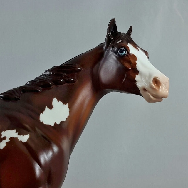 MORITA - OOAK Chestnut Overo Stock Horse