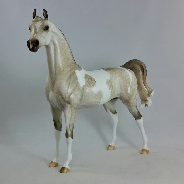 OOAK Grey Tobiano