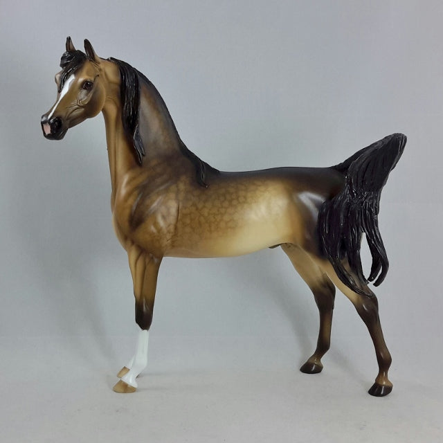 ALOGO by Sheryl Leisure