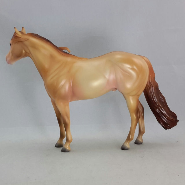 KAMANTRE - Amber Champagne Dun Stock by Caroline Boydston