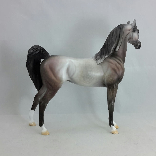 PINTA - OOAK Dapple Gray Arabian