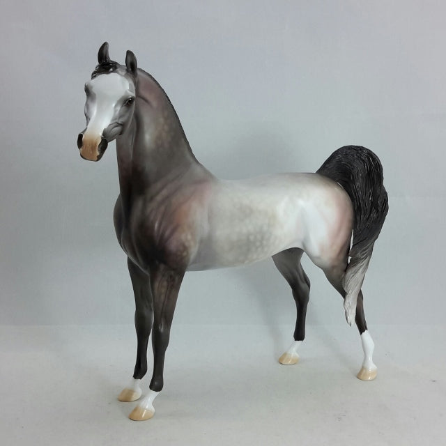 PINTA - OOAK Dapple Gray Arabian