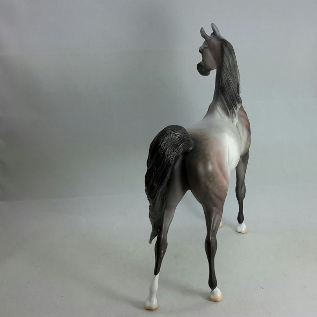 PINTA - OOAK Dapple Gray Arabian