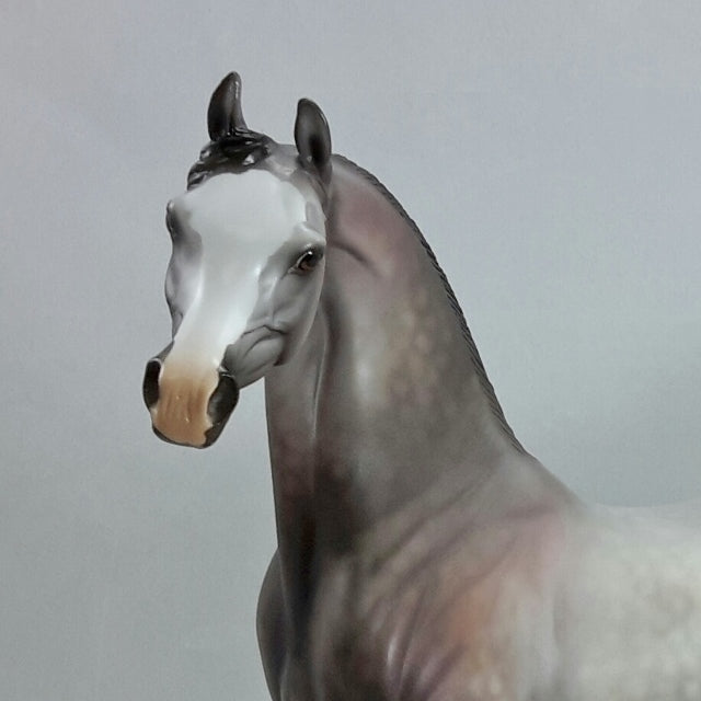 PINTA - OOAK Dapple Gray Arabian