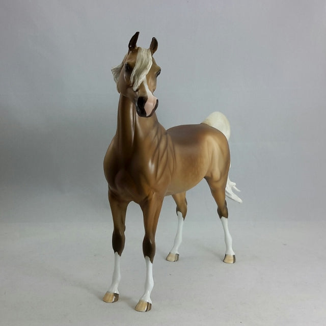 KING FERDINAND - Dapple Chestnut Arabian